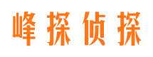 垫江市调查公司